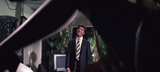 The Graduate 