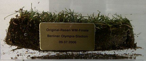 Græs fra Berlins Olympiske stadion